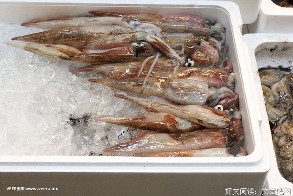 《筑地寻味》经典观后感集