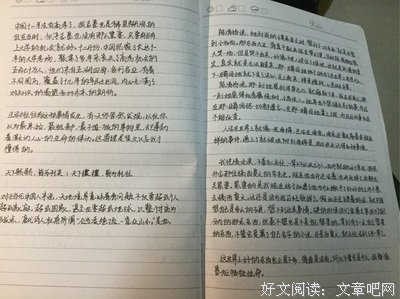 《我恨你我爱你》观后感摘抄
