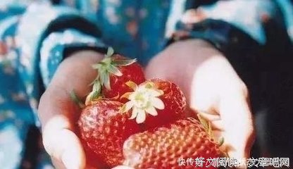 《养成自律，从来都不靠硬撑》读后感1000字
