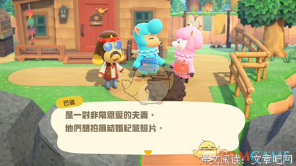 六月新娘经典读后感有感