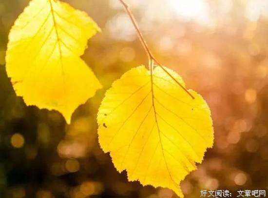 青春的美好和愚蠢