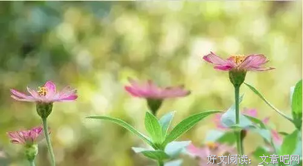 人生有三样东西是无法挽留的...