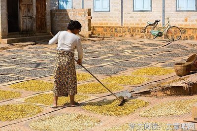 赤足的泥泞·生命的印迹