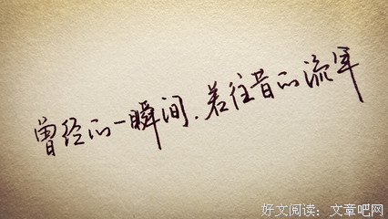 关于年之种每你而流年的句子