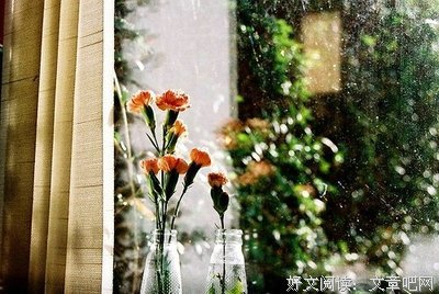 纠结句子