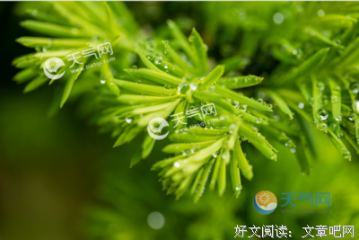 说能年都你没些短句的优美句子
