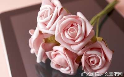 《寻觅》的句子