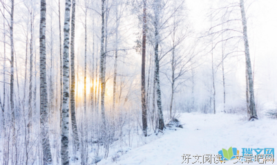 子把是我爱的经典的句子