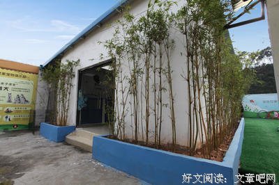 《如果狗狗们自由奔跑》读后感精选