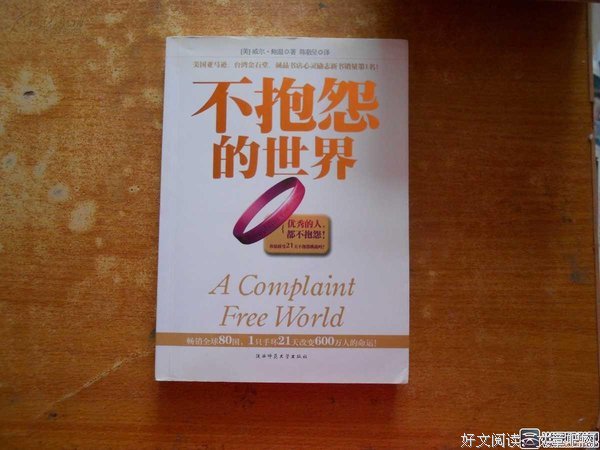 两次世界大战之间的国际关系读后感100字
