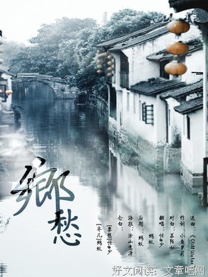 《思想与乡愁》读后感摘抄