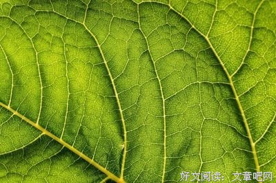不抱怨的力量有多大？（看完恍然大悟）