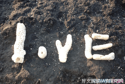 雷打不动的语句摘抄_关于雷打不动的语句