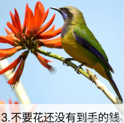 关于说到做到的格言