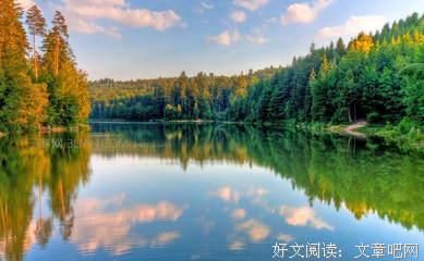 关于多种多样的语句