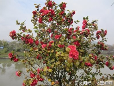 心为把我孩么看时名句欣赏