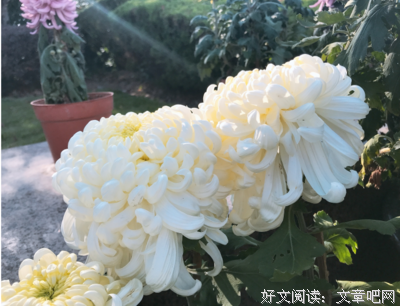 好句子，一起赏