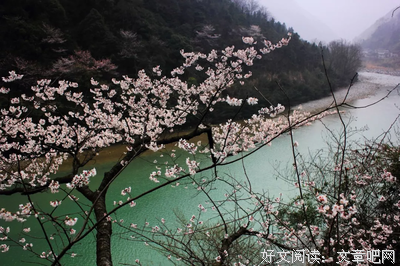 优美古诗鉴赏