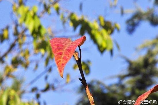 不要害怕独处