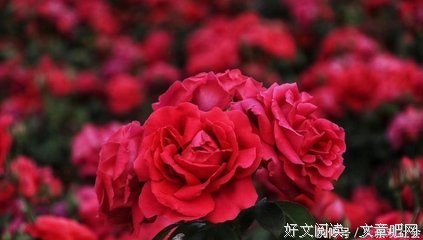 浪漫回忆句子