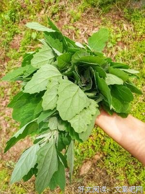 爱人间山河岁月，恋一场山温水软