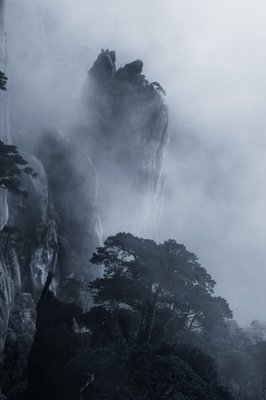 最经典的《人间把看》经典名句大全
