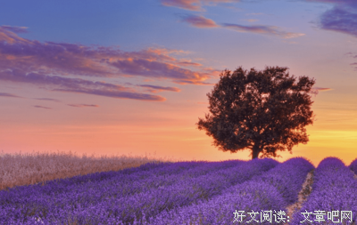 正能量的句子