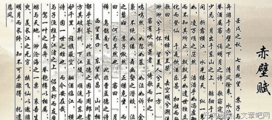 《物外04：每个人都需要归属之地》读后感100字