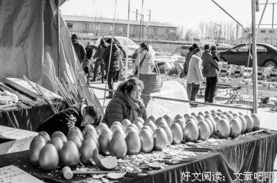 伤花怒放读后感100字