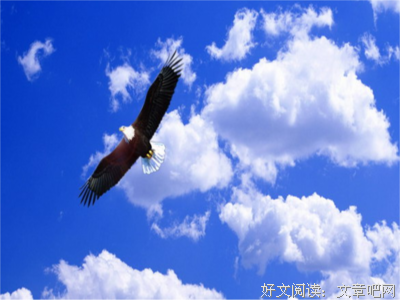 神奇的脑力激荡术的读后感大全
