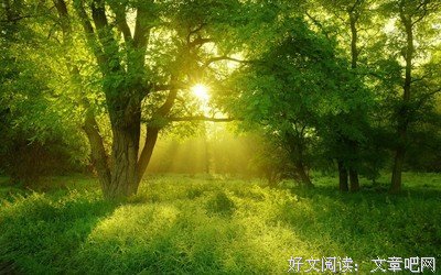 热情的名句_关于热情的名句
