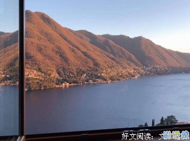 关于心甘情愿的语句