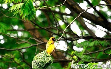 嘴巧赢一时，心美赢一世！