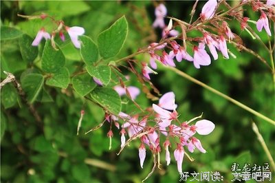 陌上殤好词好句