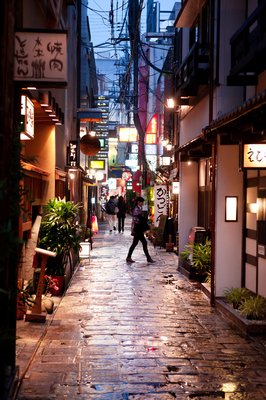 有关日本文家把的句子