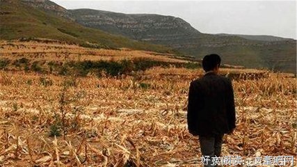 这届年轻人迷信起来，太没底线了！