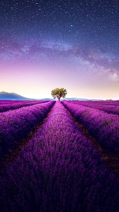 一朝一夕一瞬间，一来一去一人生
