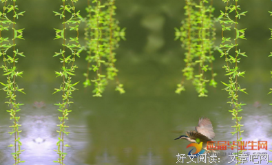 关于作家颜绝句的句子