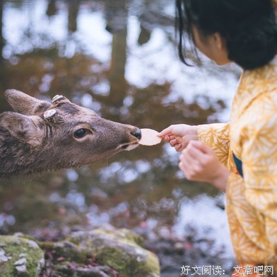 杂七杂八句子