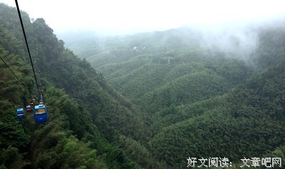 竹林之林的句子