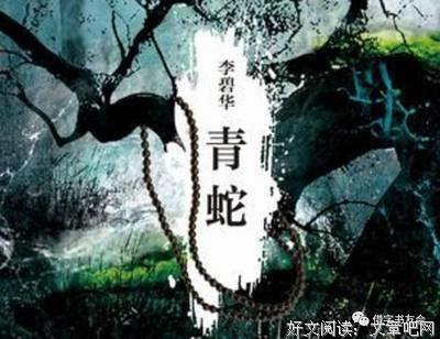 《银行局：伪装者》读后感1000字