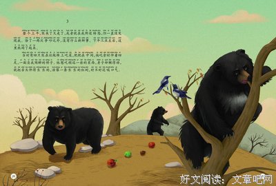 自由在哪里经典读后感有感
