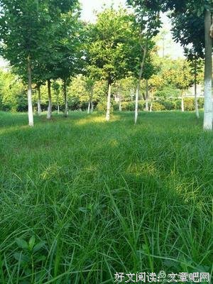 15条关于过日子的经典语句