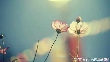 与生俱来格言警句
