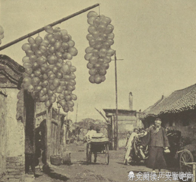 老了以后，日子就这样过！