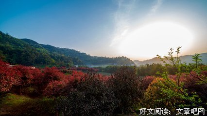有关万花谷的句子