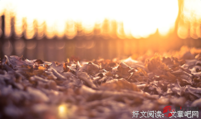 偶经典的句子
