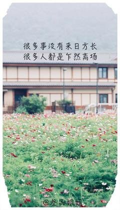 关于愿我一生 ，如此的句子