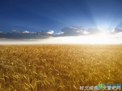 情为着一物句子
