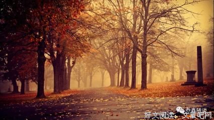 水心句子大全
